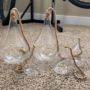 Crate & Barrel Air Plant Vases